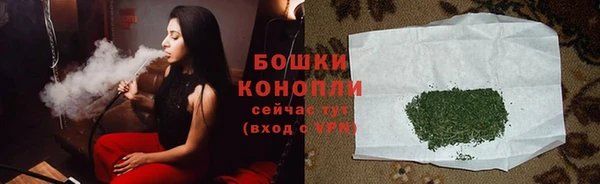 mdpv Инсар