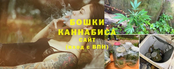 mdpv Инсар