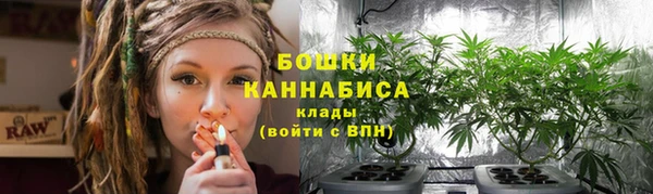 mdpv Инсар